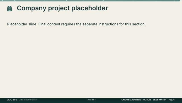 Slide 73. Company project placeholder